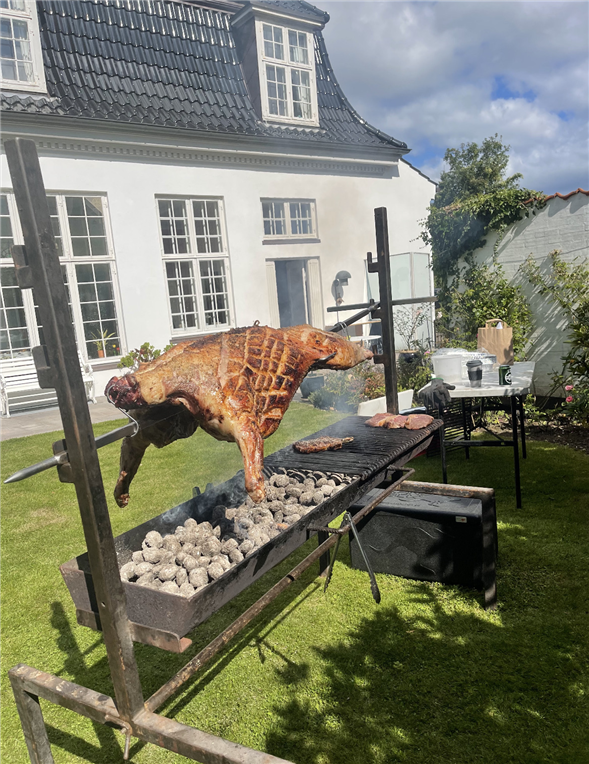 Helstegt Økologisk Texel Lam