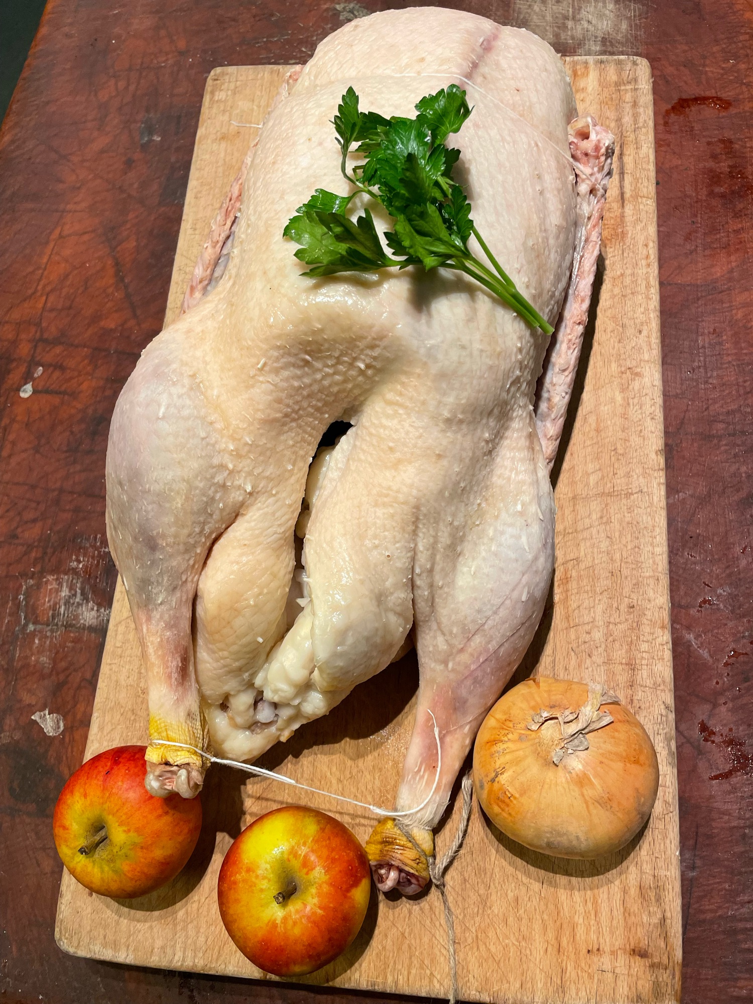 Økologisk Gås fra Gothenborg