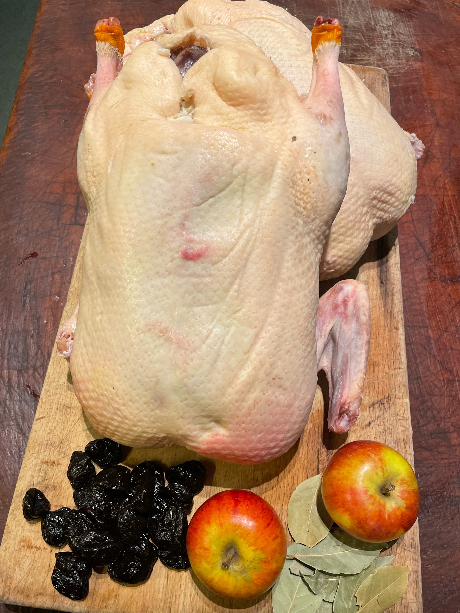 Økologisk Landand fra Gothenborg