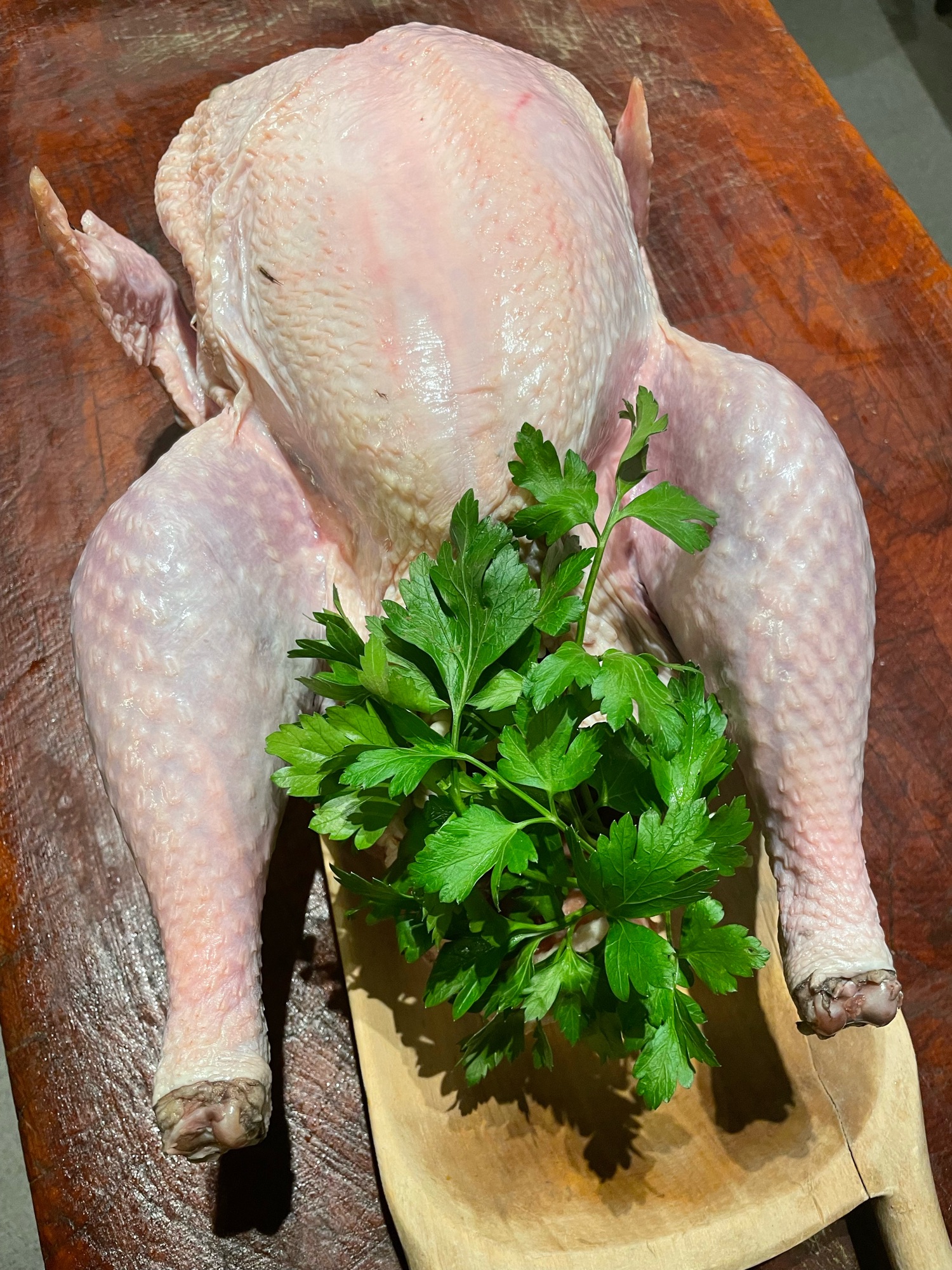 Økologisk Kalkun fra Gothenborg